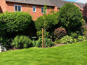 Photo 32- click for photo gallery